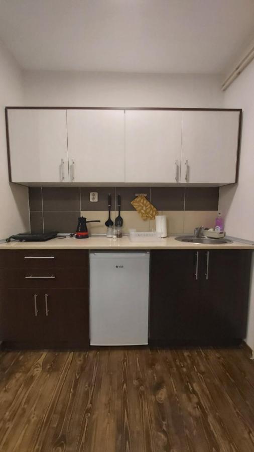 Apartmani Sunce Stara Planina Crni Vrh المظهر الخارجي الصورة