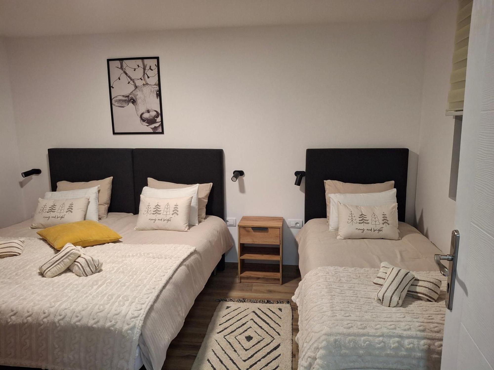 Apartmani Sunce Stara Planina Crni Vrh المظهر الخارجي الصورة